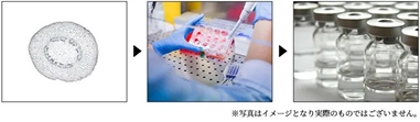 注意！新冠康复后，为何带状疱疹风险明显上升？