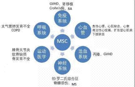 26项临床实验证明，间充质干细胞治疗膝骨关节炎有效，其疗法已经成功上市