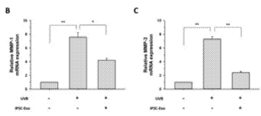 科学抗衰｜干细胞鲜活体疗法可维护基因组稳定性，实现皮肤逆生长‘神话’